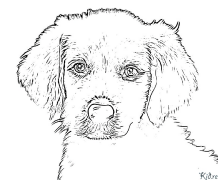 ухо Страници За Оцветяване За Печатstranitsi Za Otsvetyavane Za Pechat